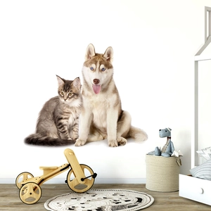 Realistic Siberian Husky and tabby cat wall stickers for modern living room decor