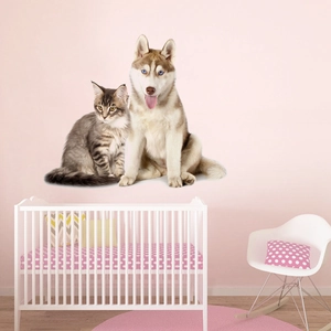 Realistic Husky and cat wall decal displayed in a cozy pink nursery setting with a crib