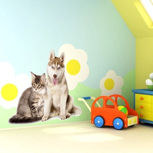 Realistic cat and husky wall stickers for living room and children nursery decoration