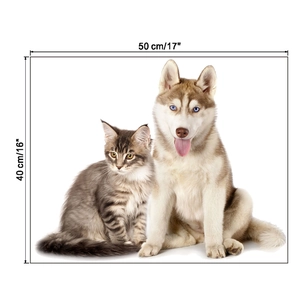 Detailed dimensions of hand-painted husky and cat wall sticker, measuring 50cm by 40cm