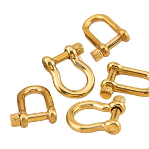 Five gold stainless steel horseshoe D-rings for DIY bags and keychain hardware accessories