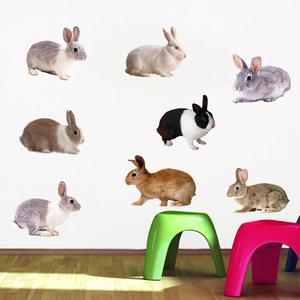 Detailed rabbit wall decals in various breeds and natural colors on white background wall