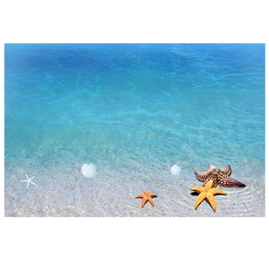 Détail d'autocollants muraux plage océan avec étoiles de mer colorées et coquillages blancs