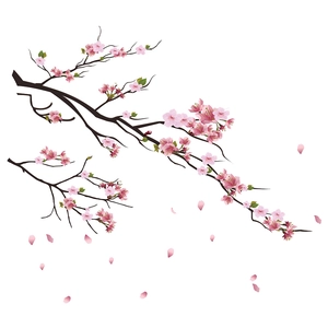 Detail of pink plum blossom wall sticker with brown branches and green leaves