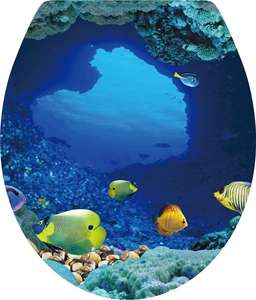 Detail view of the colorful underwater sea creatures and coral reef on the toilet sticker
