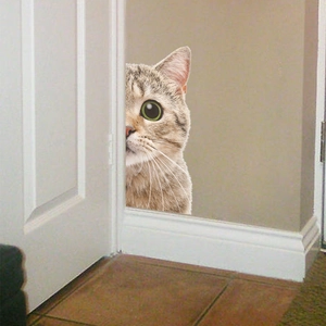 3D Realistic Peeking Animal Wall Sticker Waterproof PVC Decal For Car Door Home Bedroom Decor Cat Raccoon Pattern