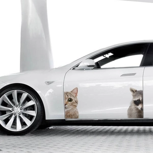 Cute peeking cat and raccoon vinyl stickers for car body and wall decoration