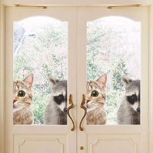 Creative 3D tabby cat and raccoon wall stickers for glass door home decor