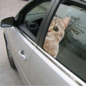 Creative 3D brown tabby cat car window sticker with curious looking kitten design