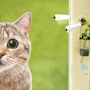 Close-up of elegant white ceramic door handle with brass hardware and curious tabby cat