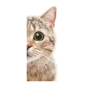Detailed realistic tabby cat wall sticker with green eyes for creative home decoration
