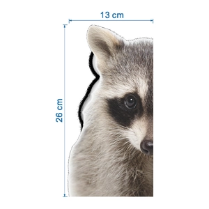 Close-up of raccoon wall decal showing size measurements 13cm by 26cm on white background