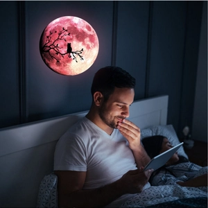 Luminous 30cm moon wall sticker with cat silhouette and realistic glowing moon texture