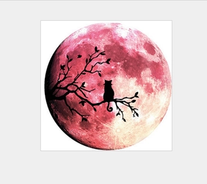 Luminous 30cm moon wall sticker with cat on branch silhouette and pink surface texture