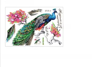Detail of colorful peacock wall decal with floral branch and 90x60cm dimensions