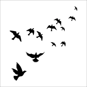 Detail of 11 black seagull silhouette wall stickers showing dynamic flying birds pattern