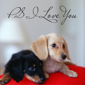 Adesivo Murale P.S. I Love You Lettere Artistiche Inglesi Rimovibile Impermeabile PVC Minimalista Decorativo DIY Decalcomania Parete Camera da Letto