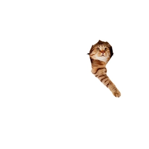 3D realistic tabby cat wall sticker featuring a kitten peeking through a hole for home decor