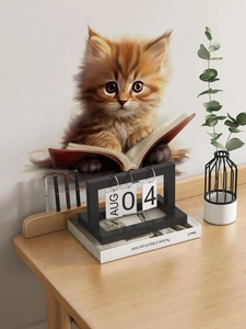 3D realistic orange kitten reading a book wall sticker for home study room decoration
