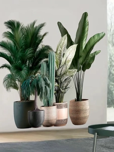 Detail view of tropical potted plant stickers including cactus and palm for wall decor