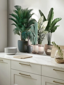 Detail of tropical plant wall decals featuring palms and cacti in a modern kitchen