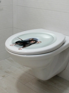 Detailed 3D mouse peeking out from a toilet lid sticker with realistic shadow effect