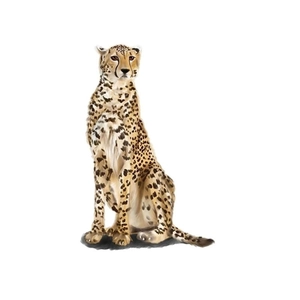 Adesivo murale ghepardo seduto realistico per camera bambini con motivo di leopardo