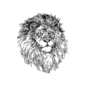 Minimalist lion sketch wall decal featuring intricate black and white animal line art