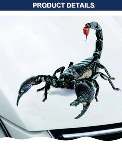Close-up of a giant black scorpion 3D car sticker on white hood for scratch decoration