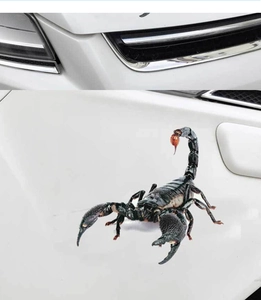 3D lifelike black scorpion car sticker with shadow effect on white vehicle hood
