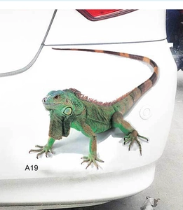 3D realistic green iguana car sticker showing detailed skin texture on a bumper