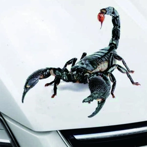 3D Realistic Animal Car Stickers Funny Scorpion Spider Iguana Waterproof PVC Scratch Covering Decals For Vehicle Decoration