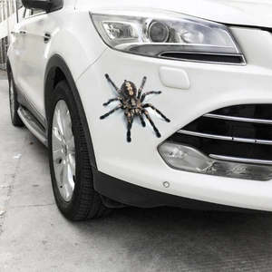 Realistic 3D spider car sticker for body decoration on a white vehicle surface
