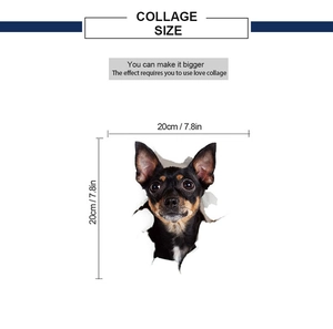Spécifications de taille pour sticker mural chien 3D mesurant 20 cm sur 20 cm