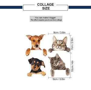 Detailed dimensions for cartoon cat and dog wall stickers showing width and height
