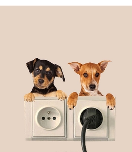 Detail of creative 3D peeking puppy wall stickers applied above electrical light switches