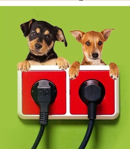 Close-up of two cute puppies wall sticker decor on a red double socket panel