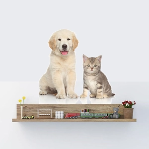 Cute realistic puppy and kitten wall decals for children's room home wall decoration