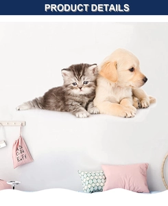 Macro shot of 3D realistic puppy and kitten wall stickers for home decor detail