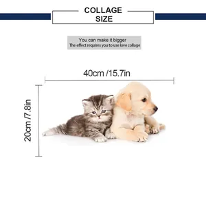 Detailed size chart for puppy and kitten wall stickers measuring 40cm by 20cm
