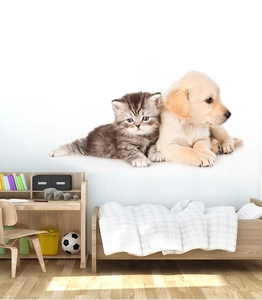 Detail of cute cat and golden retriever puppy wall sticker decor for kids nursery room