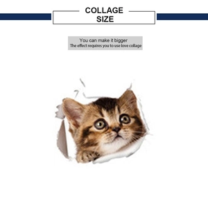 Detail showing creative brown tabby cat wall decal with a 3D hole break-through effect