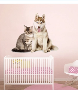 Detailed 3D husky and tabby cat wall decals applied in a cozy pink nursery room setting