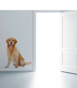 Realistic Golden Retriever puppy wall sticker in a minimalist white room interior decoration
