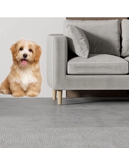 Detail of cute long-haired puppy wall sticker on a gray sofa in home interior decor