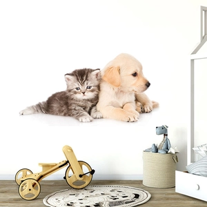 Cute wall sticker featuring a grey tabby kitten and golden puppy for nursery decor