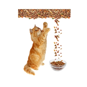 Orange long-haired cat touching mixed shape pet food next to a full glass bowl