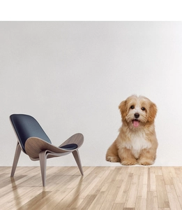 Detailed realistic dog wall sticker shown in a minimalist room with a wooden chair