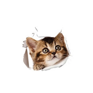 Creative 3D cat wall sticker with realistic peeking effect for room wall decoration