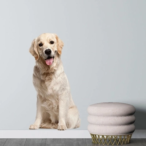 3D Realistic Dog Wall Stickers Cute Golden Retriever Husky Puppy DIY Self-Adhesive PVC Decals For Bedroom Living Room Wall Decor